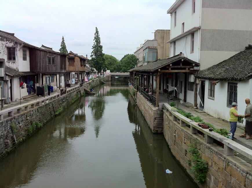 除虫大师